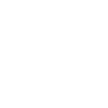 Near Protocol (NEAR)